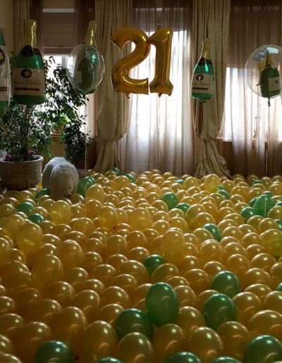 Ballonlandschaft zum Geburtstag